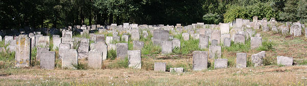 Der jüdische Friedhof in Bechhofen an der Heide, Teilaufnahme, Sommer 2012